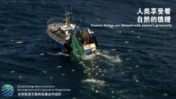 GEIDCO Official Display