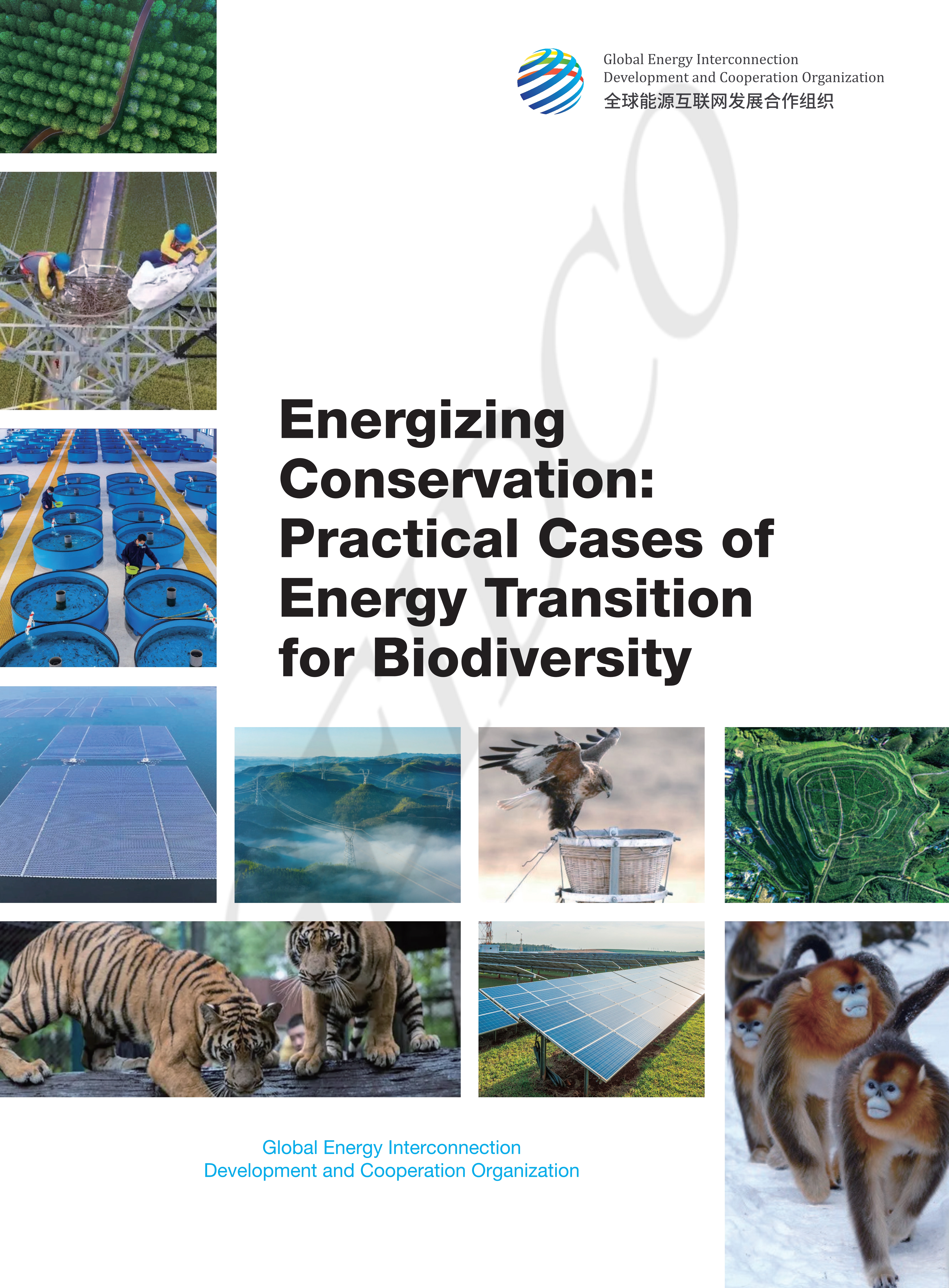 Energizing Conservation：Practical Cases of Energy Transition for Biodiversity