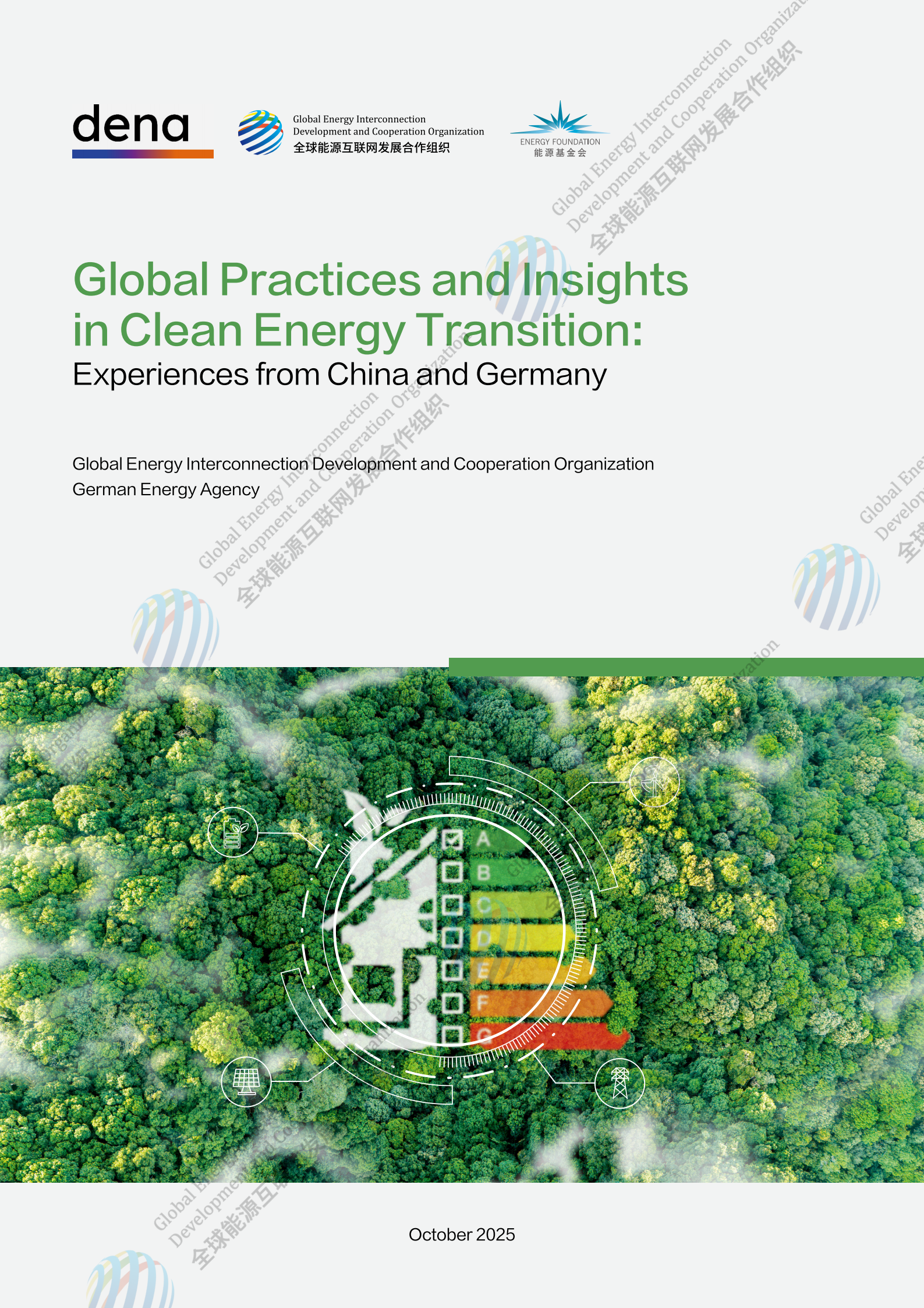 Global Practices and Insights in Clean Energy Transition:Experiences from China and Germany