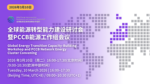全球能源转型能力建设研讨会暨PCCB能源工作组会议