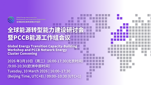 全球能源转型能力建设研讨会暨PCCB能源工作组会议